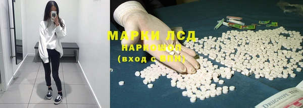 прущие грибы Алзамай