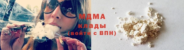 прущие грибы Алзамай