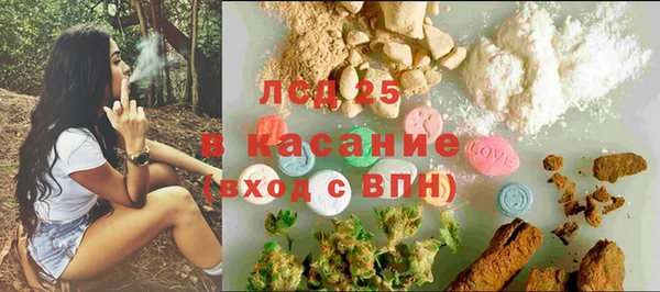 прущие грибы Алзамай