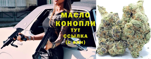 прущие грибы Алзамай