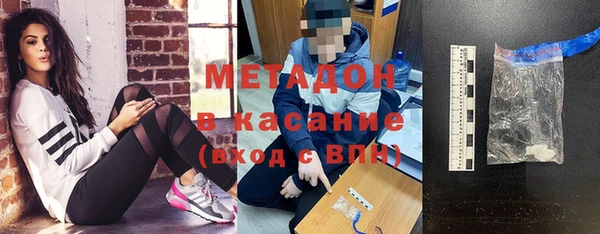 прущие грибы Алзамай