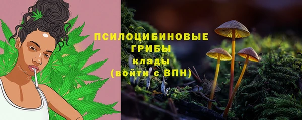 скорость Алексеевка