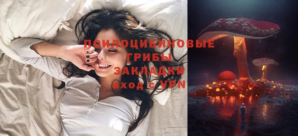 прущие грибы Алзамай
