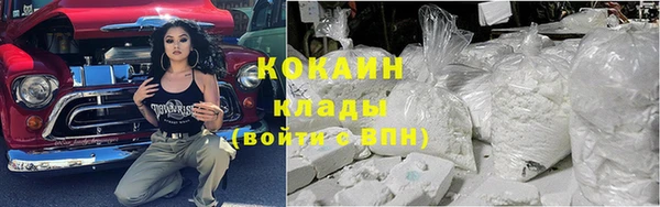 прущие грибы Алзамай