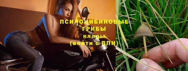 амф Алексин