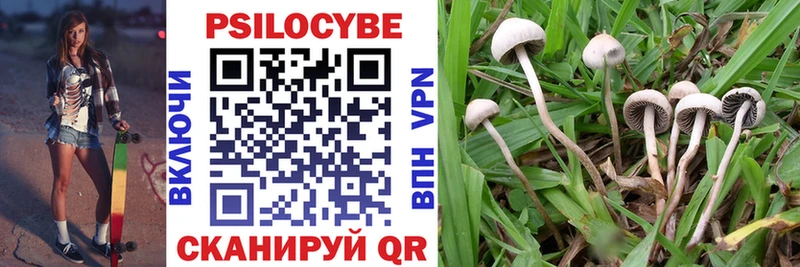 blacksprut tor  Кирсанов  Галлюциногенные грибы Cubensis  купить наркотики цена 